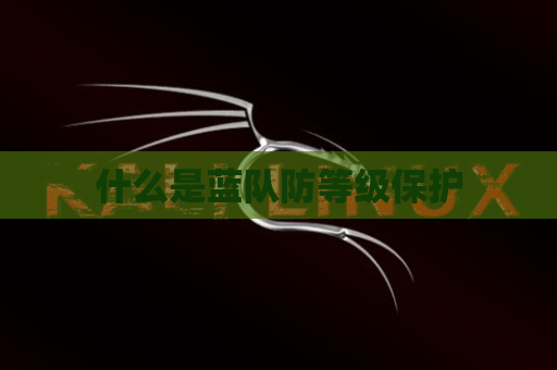 什么是蓝队防等级保护