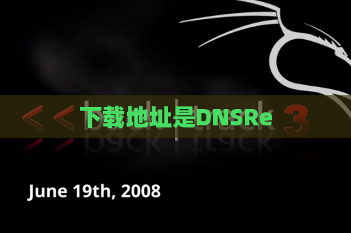 下载地址是DNSRe