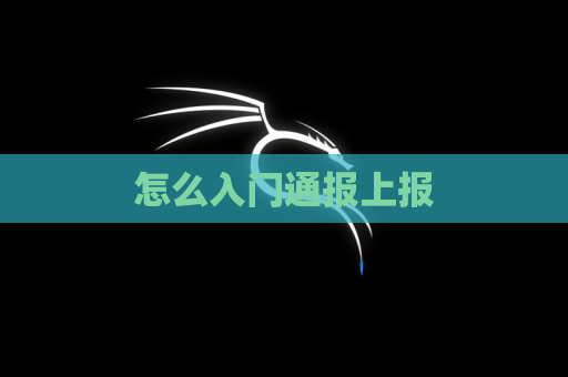 怎么入门通报上报