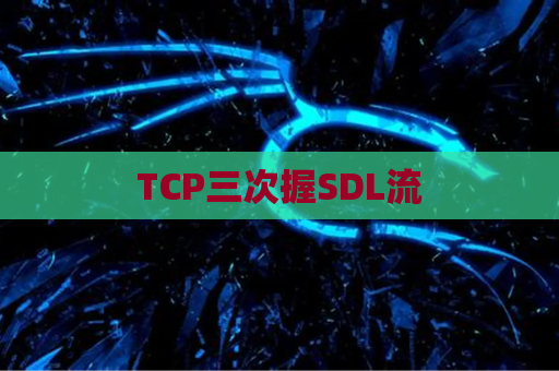 TCP三次握SDL流