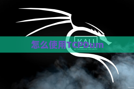 怎么使用TCPDum