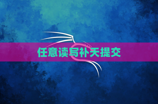 任意读写补天提交