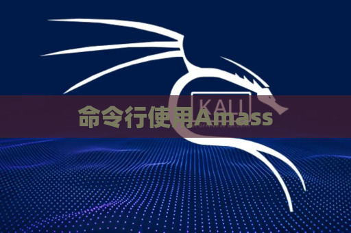 命令行使用Amass