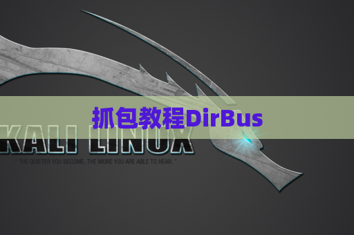 抓包教程DirBus