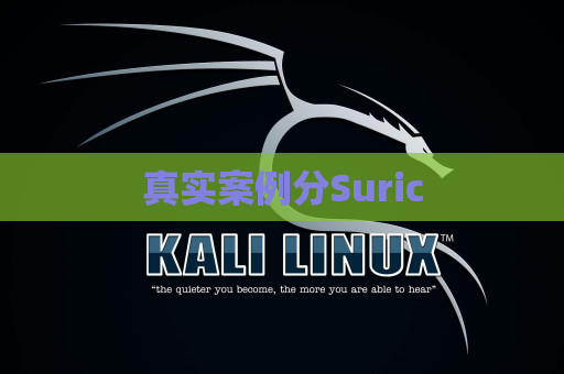 真实案例分Suric