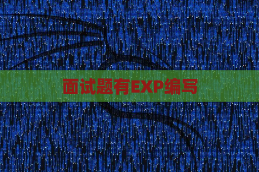 面试题有EXP编写