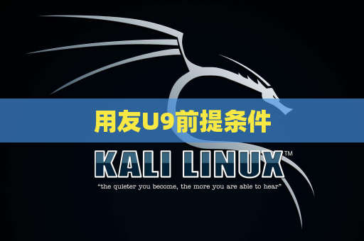 用友U9前提条件