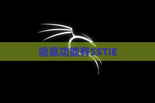 隐藏功能有SSTIE