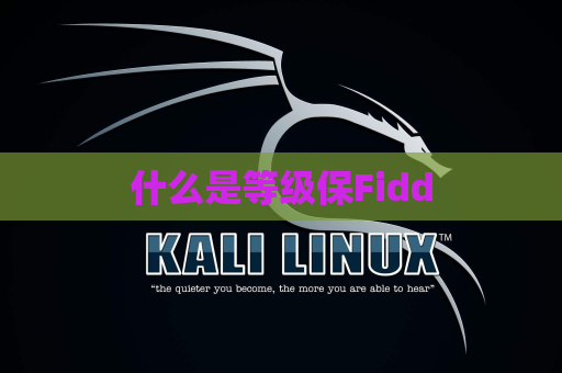 什么是等级保Fidd