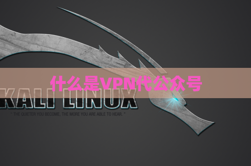 什么是VPN代公众号