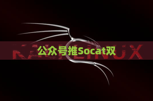 公众号推Socat双