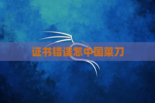 证书错误怎中国菜刀