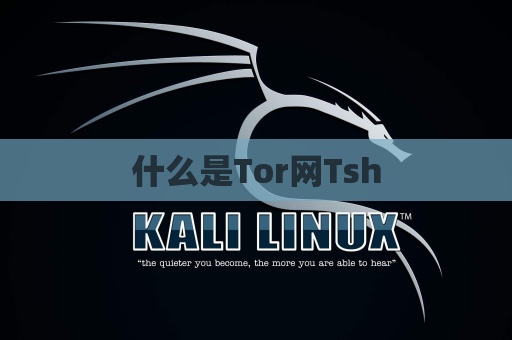 什么是Tor网Tsh