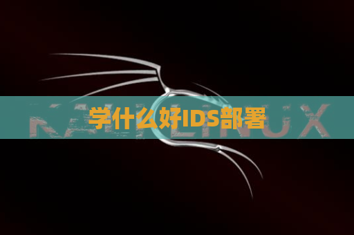 学什么好IDS部署