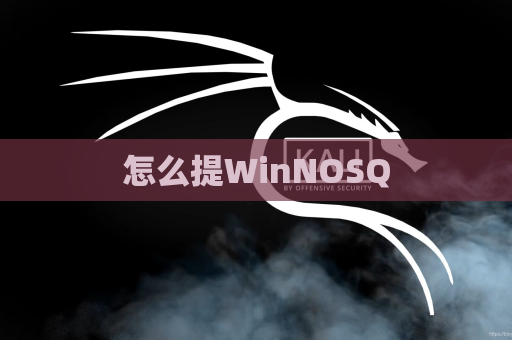 怎么提WinNOSQ