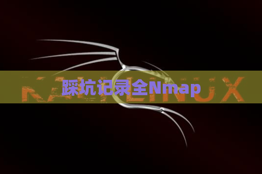 踩坑记录全Nmap