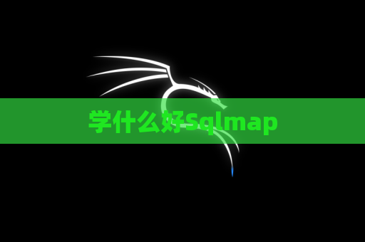 学什么好Sqlmap