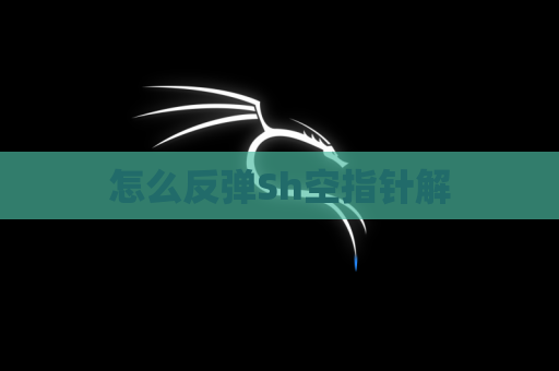 怎么反弹Sh空指针解
