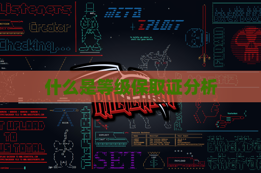什么是等级保取证分析