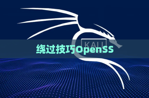 绕过技巧OpenSS