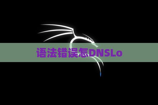 语法错误怎DNSLo