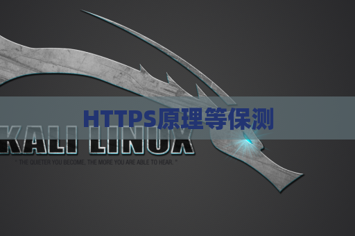 HTTPS原理等保测