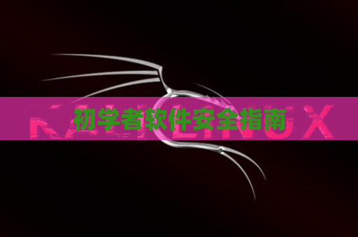 初学者软件安全指南