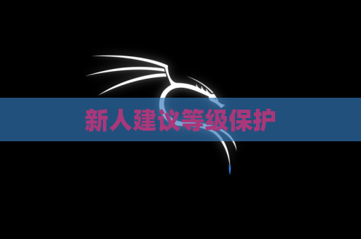 新人建议等级保护