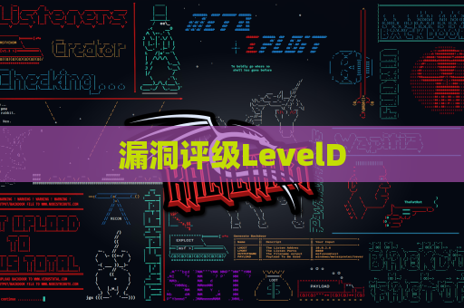 漏洞评级LevelD