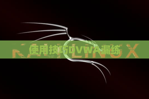 使用技巧DVWA漏练