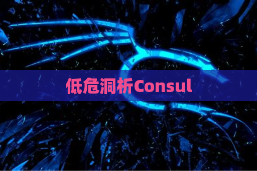 低危洞析Consul