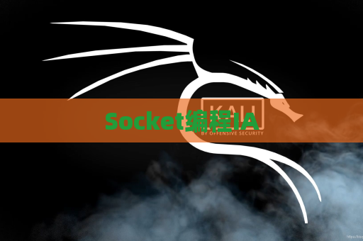 Socket编程IA