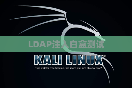 LDAP注入白盒测试