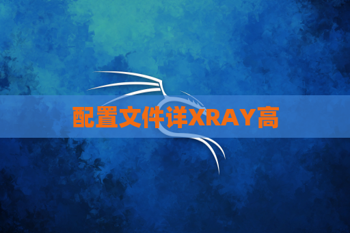 配置文件详XRAY高