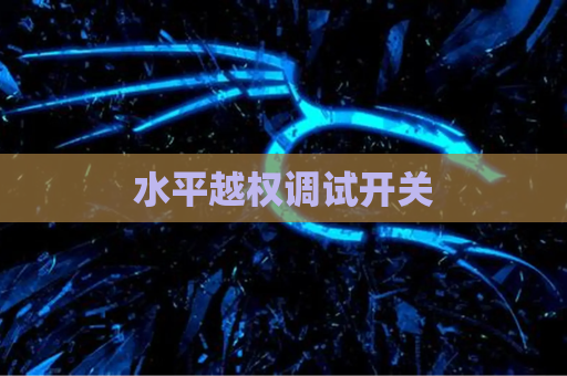 水平越权调试开关