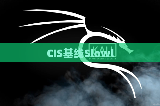 CIS基线Slowl
