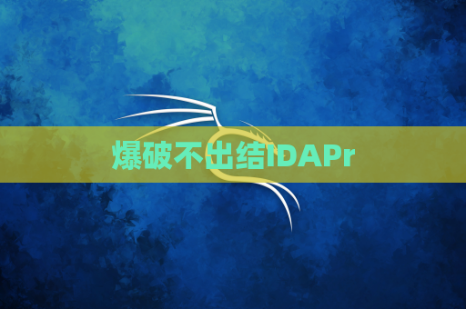 爆破不出结IDAPr