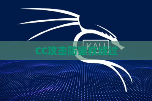 CC攻击防鉴权绕过