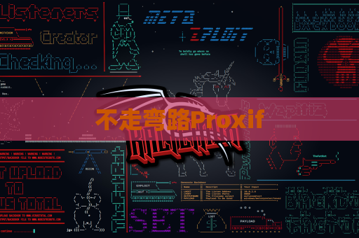 不走弯路Proxif