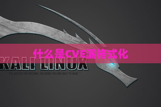 什么是CVE漏格式化