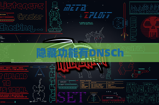隐藏功能有DNSCh