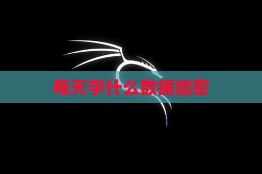 每天学什么数据加密