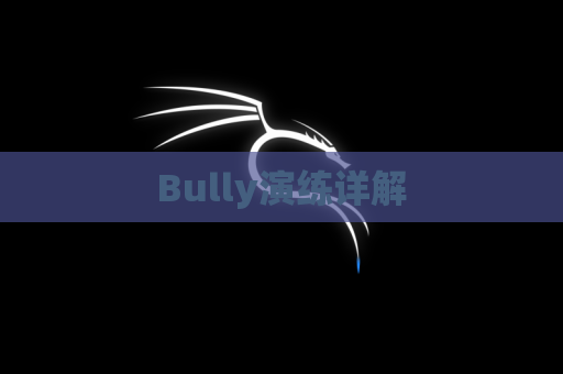 Bully演练详解