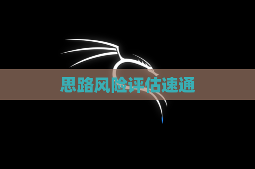 思路风险评估速通
