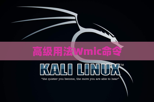 高级用法Wmic命令