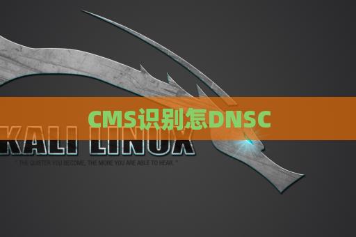 CMS识别怎DNSC