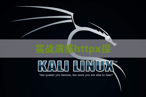 实战演练httpx探