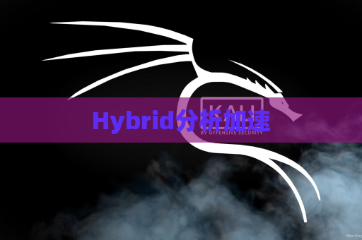 Hybrid分析加速