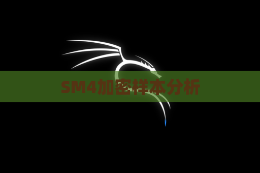 SM4加密样本分析