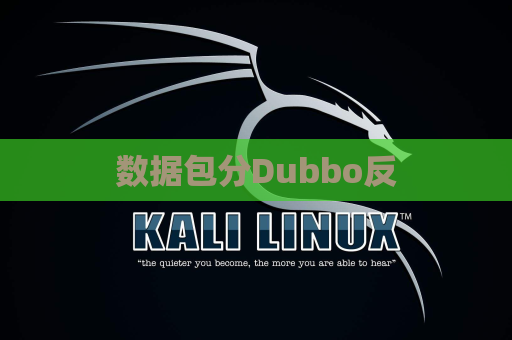 数据包分Dubbo反